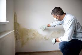 Mold Documentation for Insurance Claims in State Line, PA